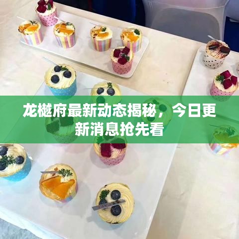 龙樾府最新动态揭秘，今日更新消息抢先看