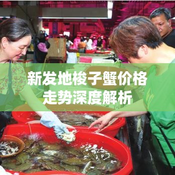 新发地梭子蟹价格走势深度解析