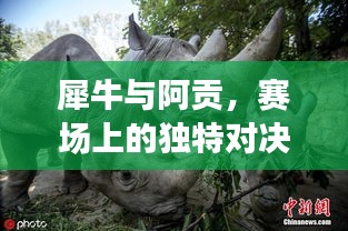 犀牛与阿贡，赛场上的独特对决！