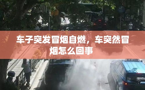 澳朗口腔项目 第17页