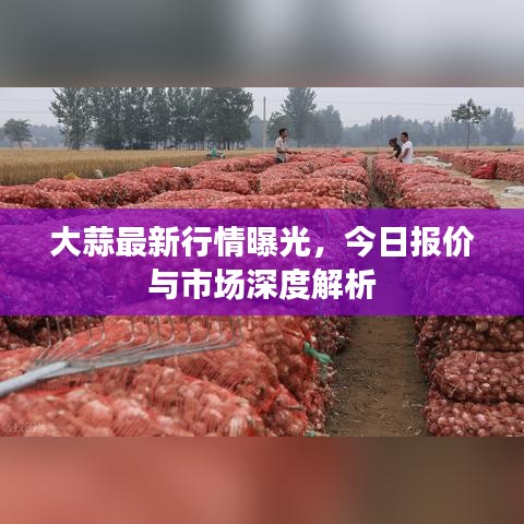 2025年5月1日