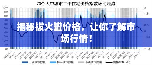 揭秘拔火罐价格，让你了解市场行情！