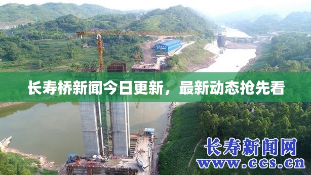 长寿桥新闻今日更新，最新动态抢先看