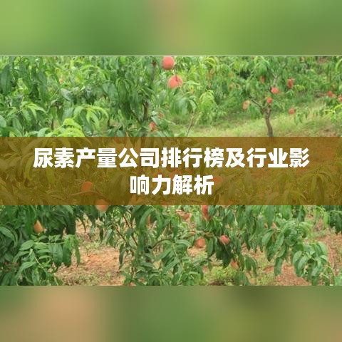 尿素产量公司排行榜及行业影响力解析