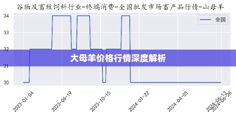 大母羊价格行情深度解析