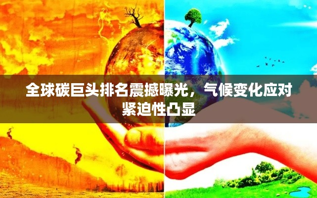 全球碳巨头排名震撼曝光，气候变化应对紧迫性凸显