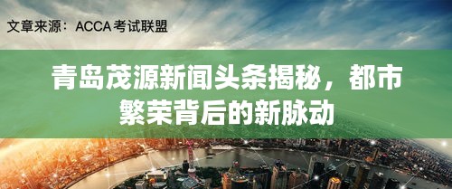 青岛茂源新闻头条揭秘，都市繁荣背后的新脉动