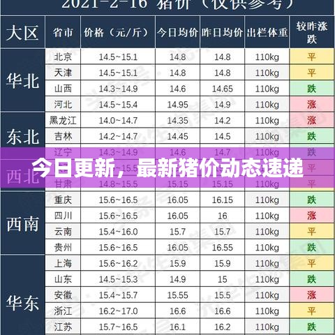 今日更新，最新猪价动态速递