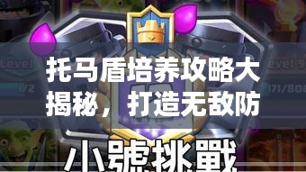 托马盾培养攻略大揭秘，打造无敌防御战士！