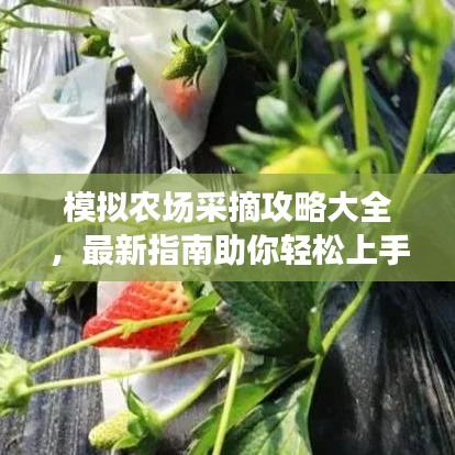模拟农场采摘攻略大全，最新指南助你轻松上手！