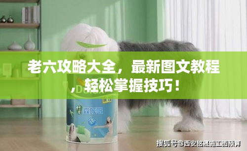 老六攻略大全，最新图文教程，轻松掌握技巧！