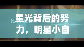 星光背后的努力，明星小自考之路的坚持与挑战