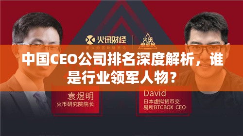 中国CEO公司排名深度解析，谁是行业领军人物？