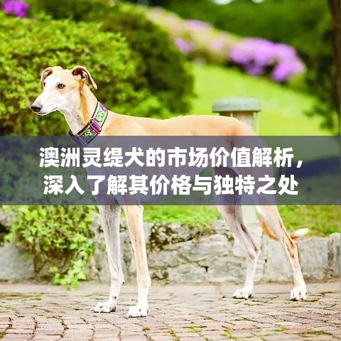 2025年5月16日