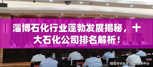 淄博石化行业蓬勃发展揭秘，十大石化公司排名解析！