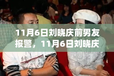 刘晓庆前男友报警事件，深度解析与影响