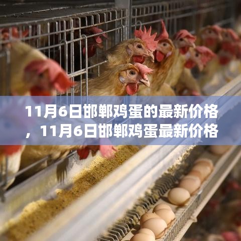 11月6日邯郸鸡蛋价格解析，市场波动与个人观点