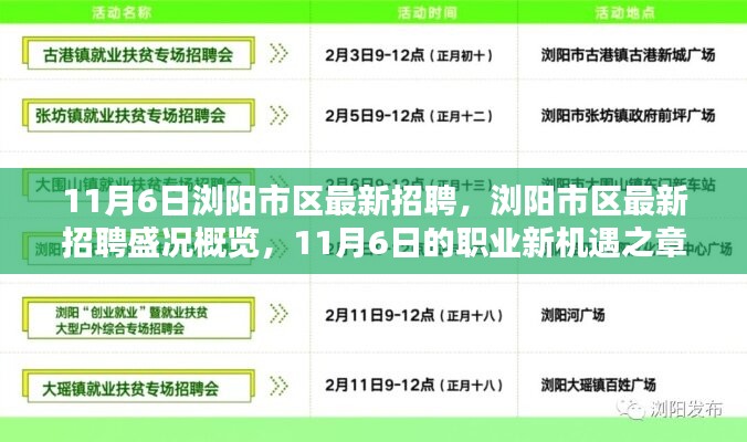 11月6日浏阳市区招聘盛况及职业新机遇概览