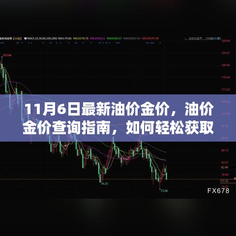 最新油价金价指南，11月6日查询轻松获取油价金价信息（适合初学者与进阶用户）