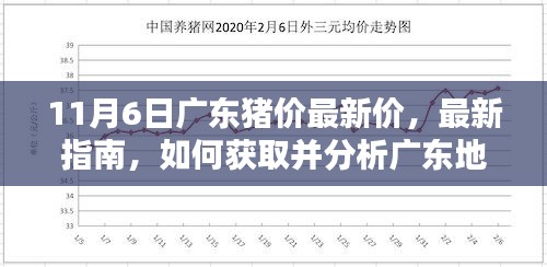 广东地区最新猪价指南，如何获取并分析最新猪价信息（初学者版）