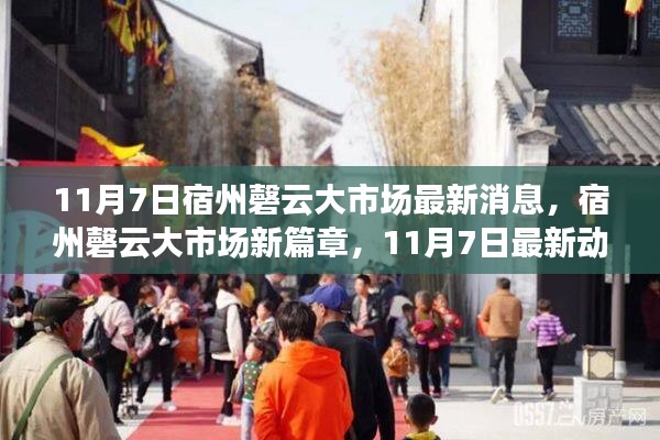 宿州磬云大市场最新动态揭秘，开启新篇章的11月7日更新消息