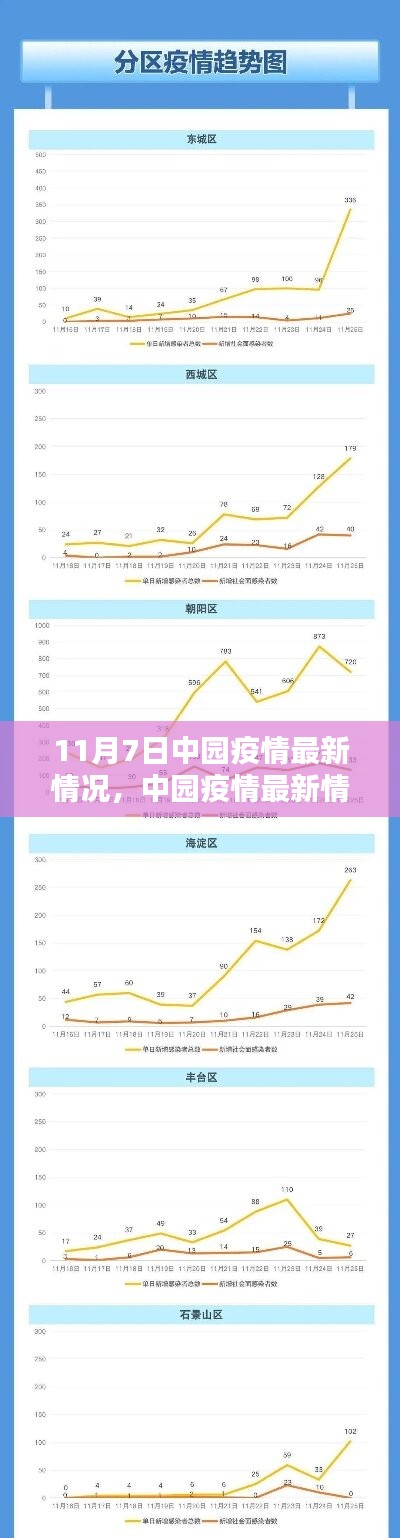 中国疫情最新动态解析与应对指南（11月7日版）——新手进阶必备参考资料