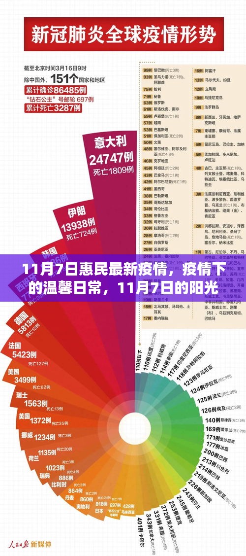 11月7日最新疫情下的温馨日常，阳光照耀下的家园与家的温暖