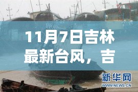 吉林遭遇猛烈台风袭击，11月7日台风影响与回顾