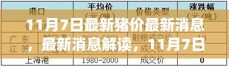 11月7日最新猪价深度解析与消息汇总