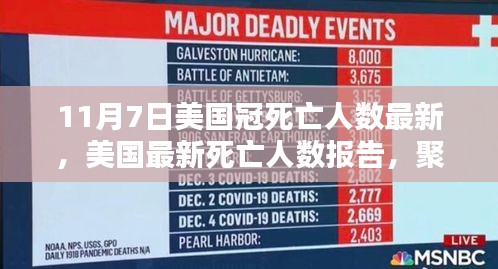 美国最新死亡人数报告，聚焦11月7日数据概览