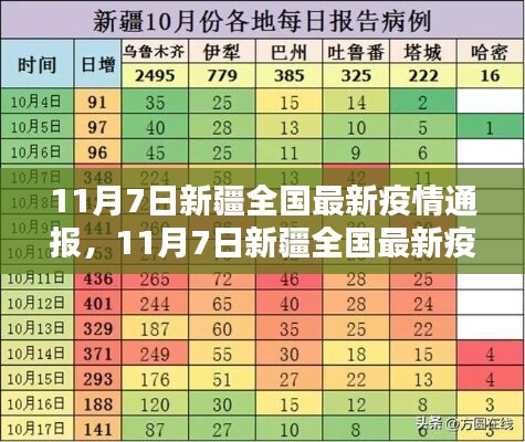 新疆全国最新疫情通报详解，11月7日最新数据与全面评测介绍