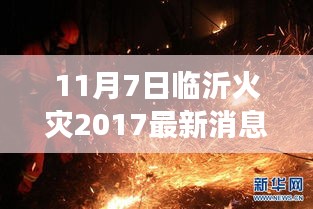 揭秘真相与救援进展，临沂火灾最新消息（2017年11月7日热点关注）