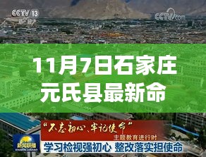 石家庄元氏县最新命案深度解析，社会、法律与个人立场探讨