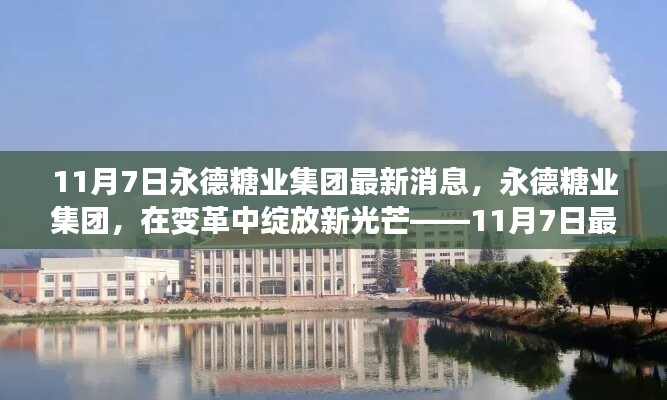 永德糖业集团变革新动向，绽放新光芒的深度解析——11月7日最新消息