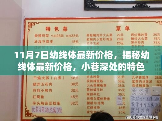 揭秘幼线体最新价格，特色小店探秘之旅（11月7日更新）