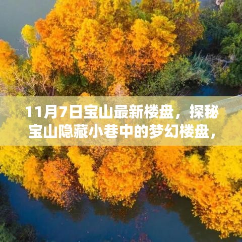 探秘宝山隐藏小巷的梦幻楼盘，最新楼盘奇遇记（11月7日宝山）