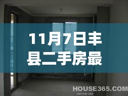 丰县二手房毛坯市场最新动态，前景展望与市场走势分析