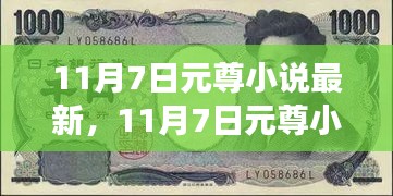 11月7日元尊小说全面解读，特性、体验、竞争对比及用户群体深度分析