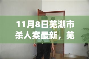 芜湖市11月8日杀人案深度解析与最新情况关注