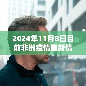 2024年11月8日非洲疫情最新情况全面解析，现状与面临的挑战