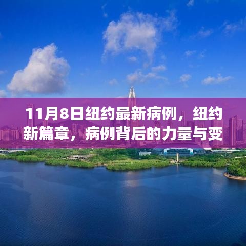 纽约新篇章，病例背后的力量与变化，学习成就自信之光（11月最新更新）