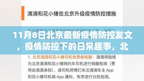 北京疫情防控下的温馨守护，日常趣事与守护力量