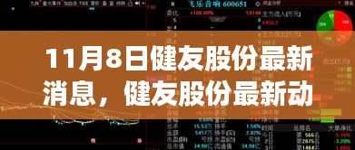 健友股份最新动态解析及未来展望，聚焦要点，展望未来发展之路（11月8日）