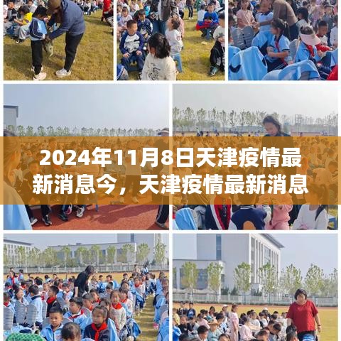 天津疫情应对指南与技能学习教程，最新消息与动态（2024年11月8日）