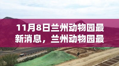 兰州动物园最新动态深度体验与评测，11月8日最新消息