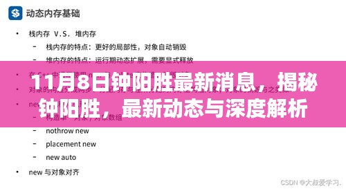 揭秘钟阳胜，最新动态与深度解析——11月8日专刊报道