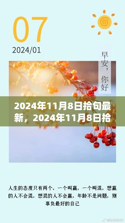 2024年11月8日最新拾句概览，新知启示录