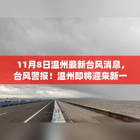 温州即将迎来新一轮风暴，最新台风警报解读（时间，11月8日）