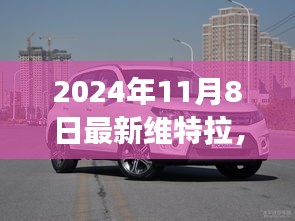 维特拉，历史与未来的交汇点——深度观察维特拉2024年11月8日最新动态