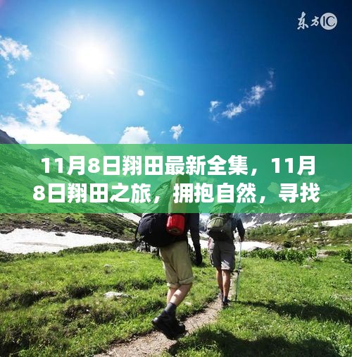 11月8日翔田之旅，拥抱自然，探寻内心宁静与欢笑